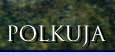 Polkuja