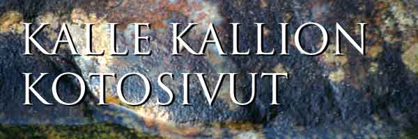 Kalle Kallion kotosivut